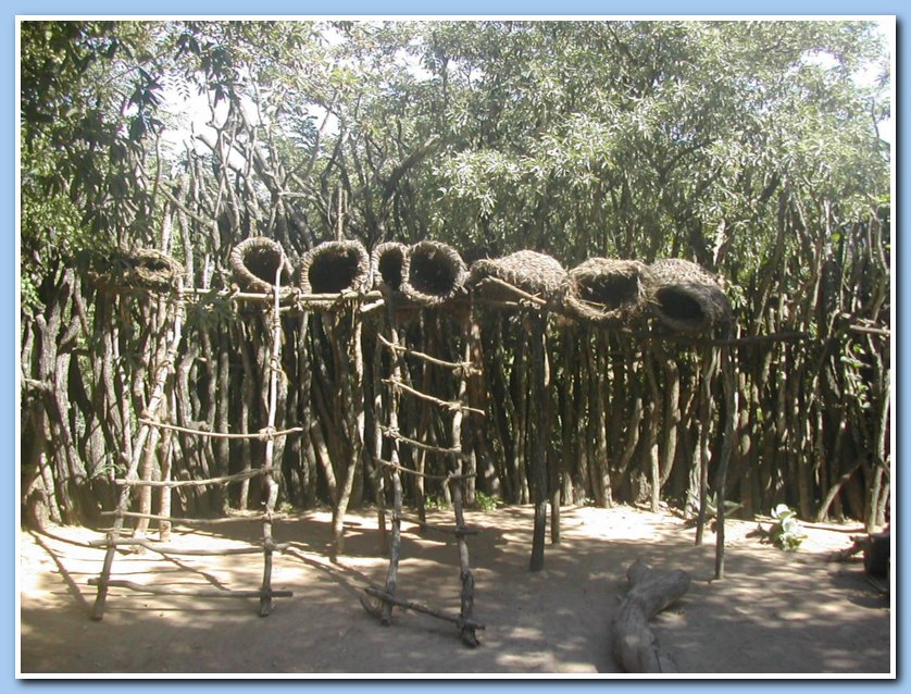 Swazi chicken coop